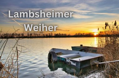 Link zu Foto
