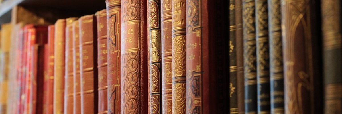 Bücherregal